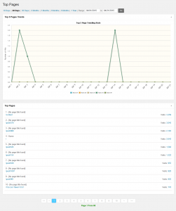 WP Statistics Pages Page