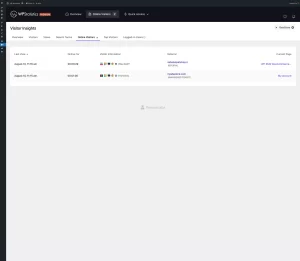 Visitor Insights: Online visitors