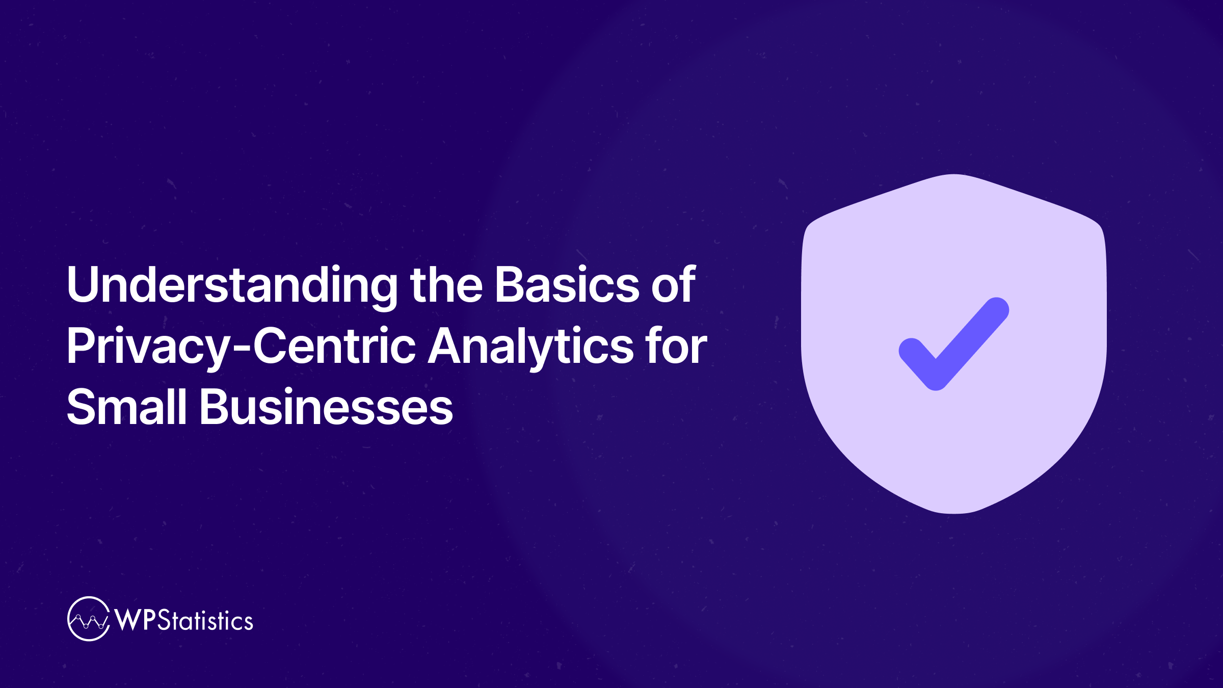 Understanding the Basics of Privacy-Centric Analytics for Small Businesses