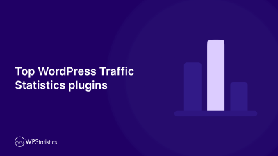 12 Top WordPress Traffic Statistics Plugins in 2026